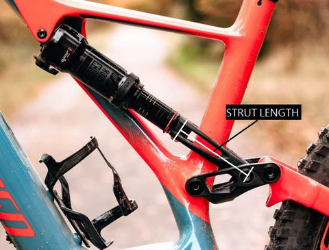 Strut or yoke equipped mountain bike